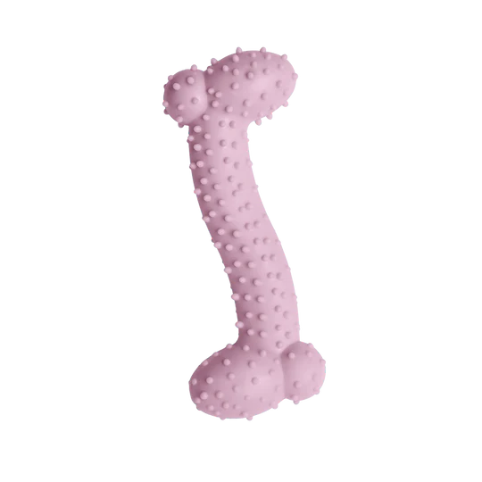 Snugarooz Lil Baby Bone Pink Dog Toy