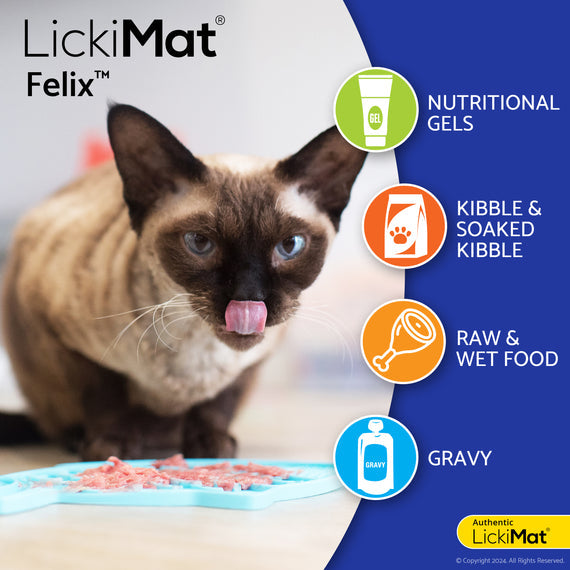 LickiMat Felix Slow Feeder Cat Bowl with assorted cat foods for slow feeding