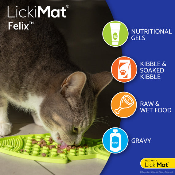 LickiMat Felix Slow Feeder Bowl for cats with various foods