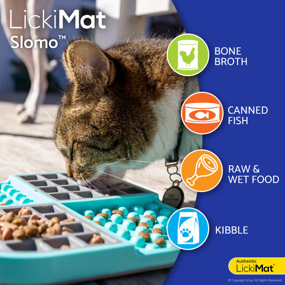 Cat using LickiMat Slomo Blue and Gray Slow Feeder Bowl