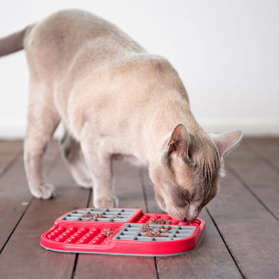 Cat using LickiMat Slomo Red and Gray Slow Feeder Bowl