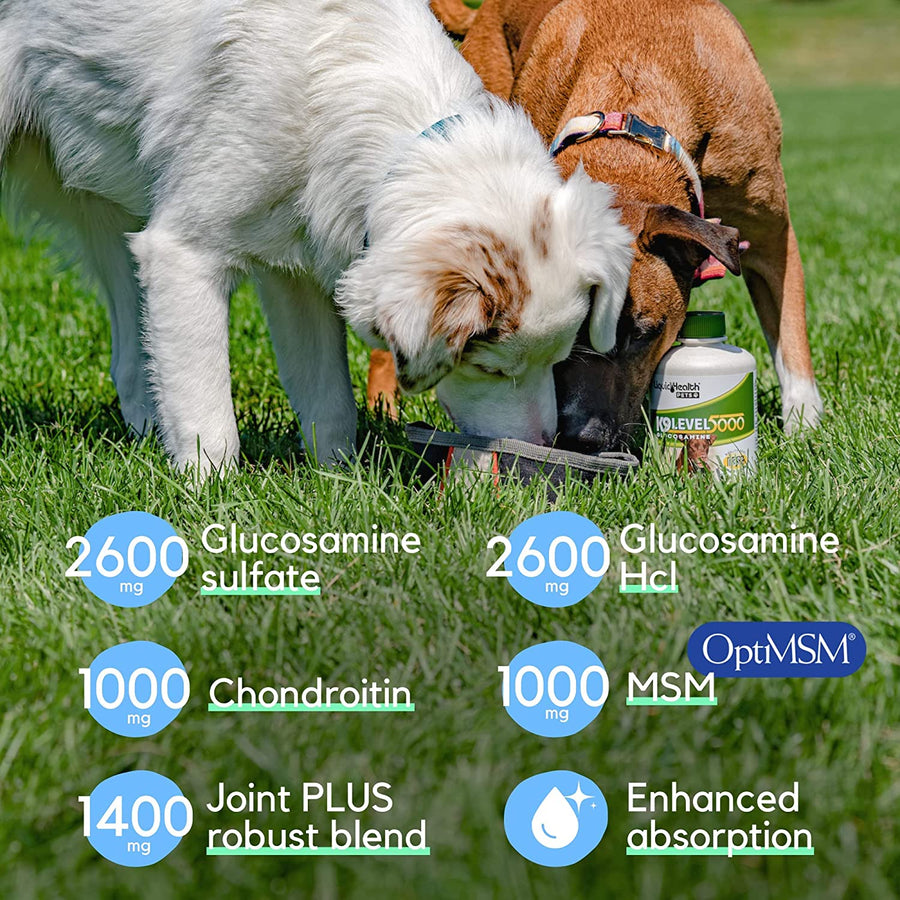 Supplement Facts for Liquid Health K9 Level 5000 Glucosamine.