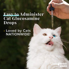 Easy to administer cat glucosamine drops
*Loved by cats nationwide