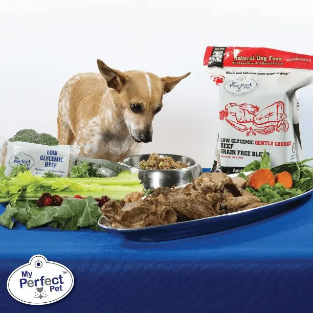 My Perfect Pet Buddy s Glycemic Friendly Beef Blend Frozen Dog Food Ba