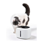 Cat using product. 