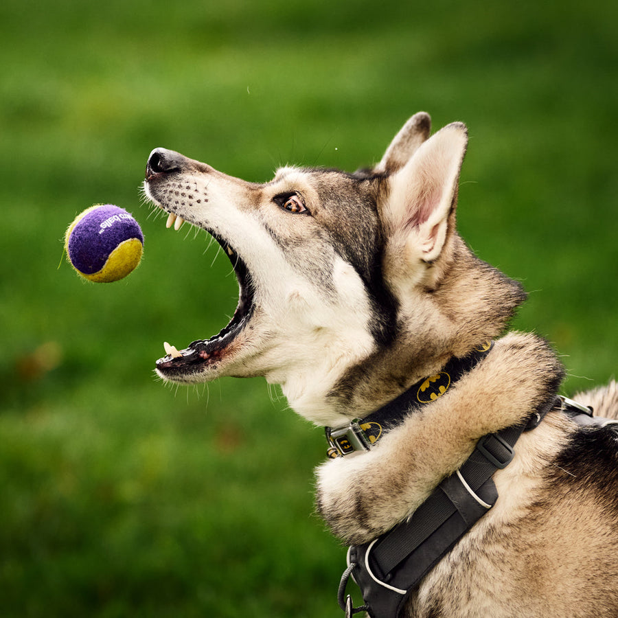 Lifestyle Image. 