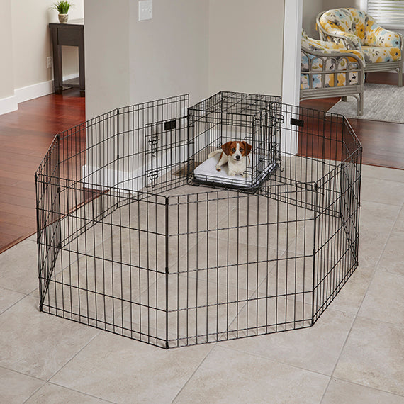 Full View of Midwest Contour Exercise Pen with Door in living room