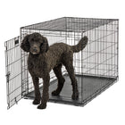 Black Dog using the Midwest Contour Single Door Dog Crate 