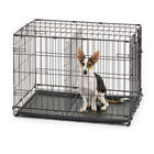Dog inside Midwest Contour Single Door Dog Crate with a divider