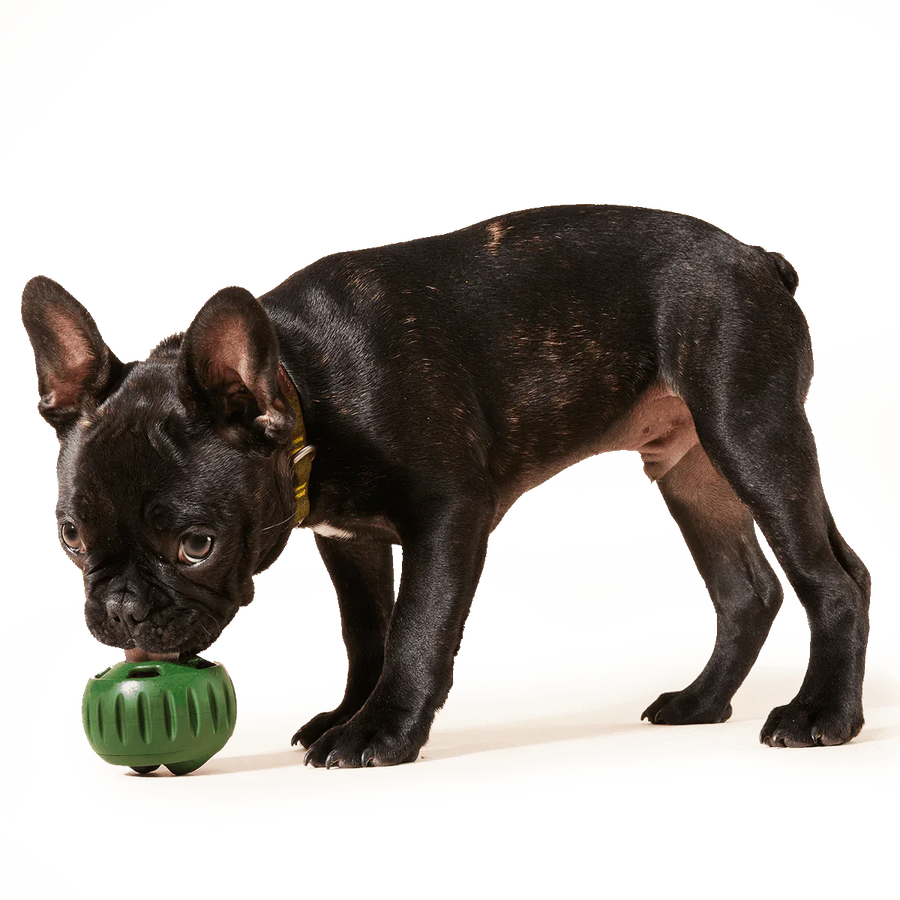 Woof Pupsicle Pops Chicken & Peanut Butter Recipe Dog Treat