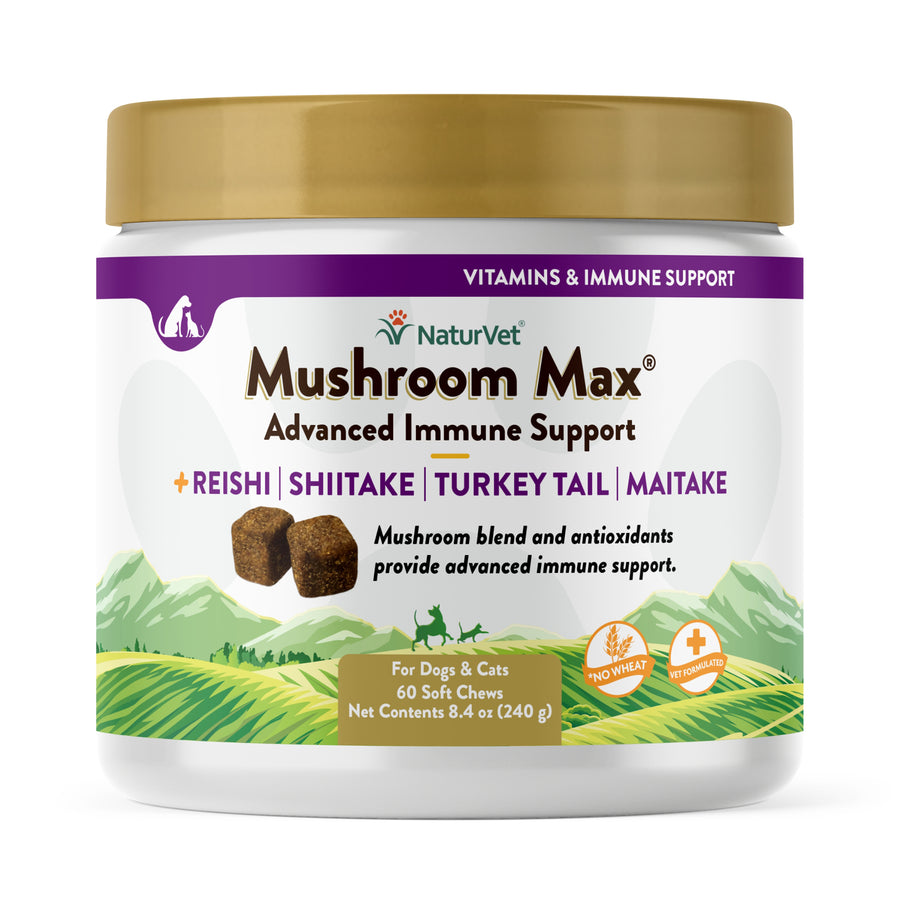 NaturVet Mushroom Max Immune Support Soft Chews For Dogs & Cats