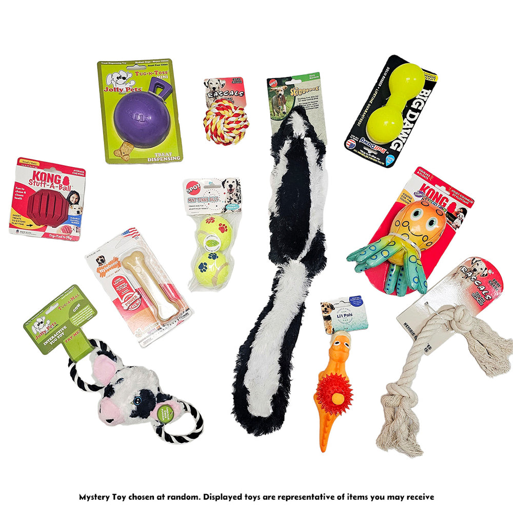 Mystery Toys in variety of options