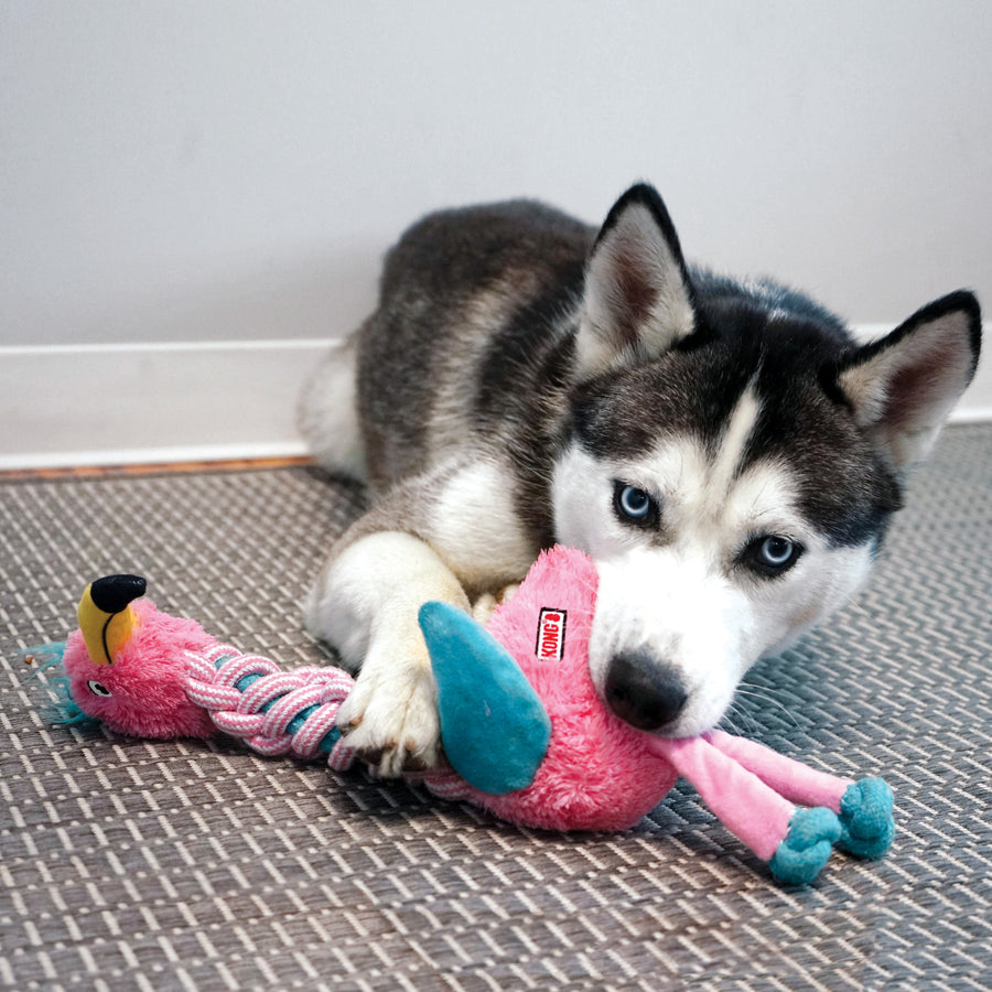 KONG Knots Twists Plush Dog Toy