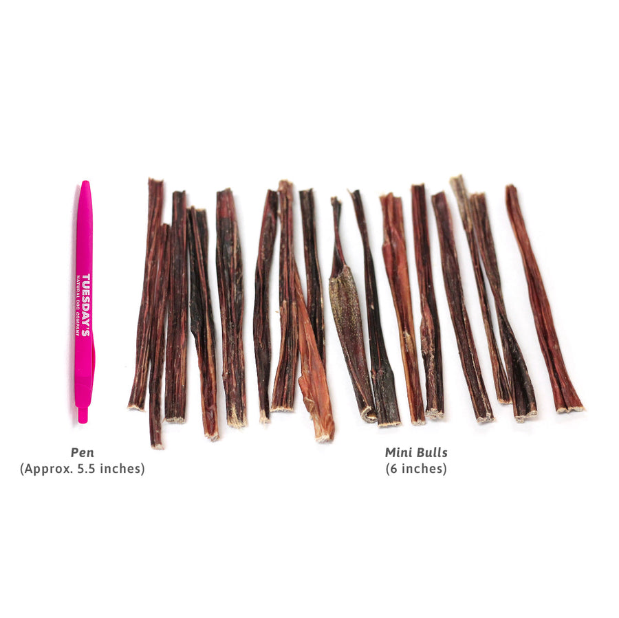 Mini Bulls 6-INch approximately the same thickness as a standard click pen