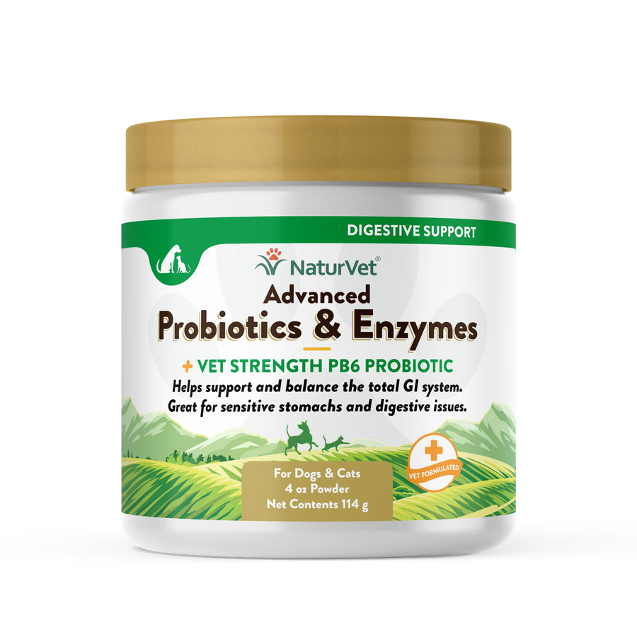 NaturVet Advanced Probiotic & Enzymes Powder for Dogs and Cats 4oz, Front Container