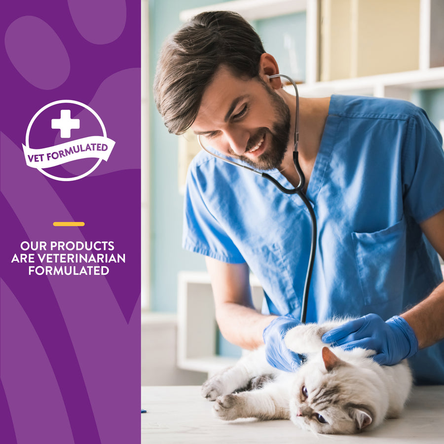 NaturVet VitaPet Adult Daily Vitamins Soft Chews for Cats are Vet Formulated