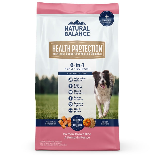 Natural Balance Health Protection Salmon, Brown Rice & Pumpkin Dry Dog Food front of bag.