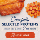 Carefully selected proteins and real salmon for Natural Balance Limited Ingredient Grain Free Sweet Potato & Salmon Recipe Dog Wet 13oz 