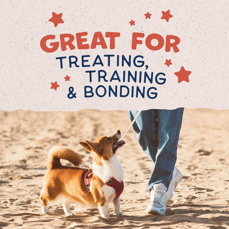 Natural Balance Rewards Bite-Size Crunchy Biscuits Dog Treat great for treating, training and bonding
