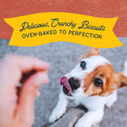 Natural Balance Rewards Bite-Size Crunchy Biscuits Small Breed With Real Salmon Dog Treat, oven-baked to perfection