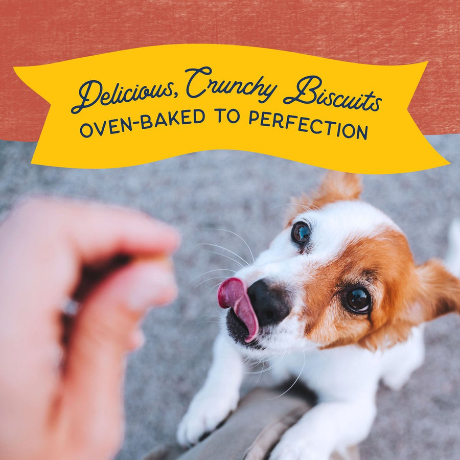 Natural Balance Rewards Bite-Size Crunchy Biscuits Small Breed With Real Salmon Dog Treat, oven-baked to perfection