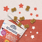 Natural Balance Rewards Bite-Size Crunchy Biscuits Small Breed With Real Salmon Dog Treat, with spilled pieces