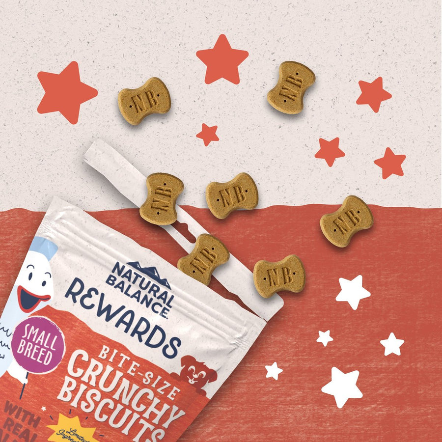 Natural Balance Rewards Bite-Size Crunchy Biscuits Small Breed With Real Salmon Dog Treat, with spilled pieces