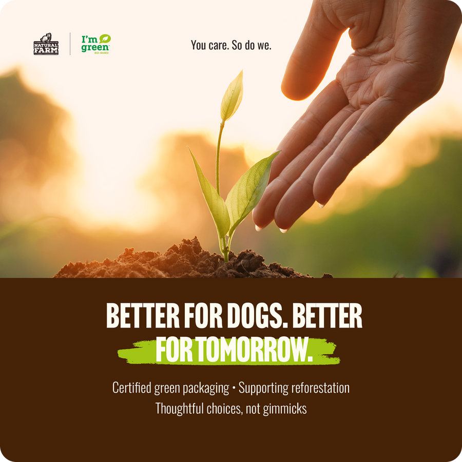 Better for dogs. Better for tomorrow. 