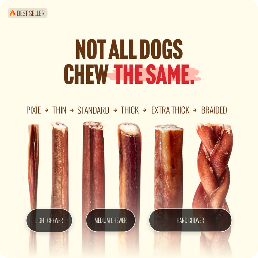 Not all dogs chew the same. 