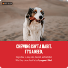 Chewing isn't a habit. It's a need. 