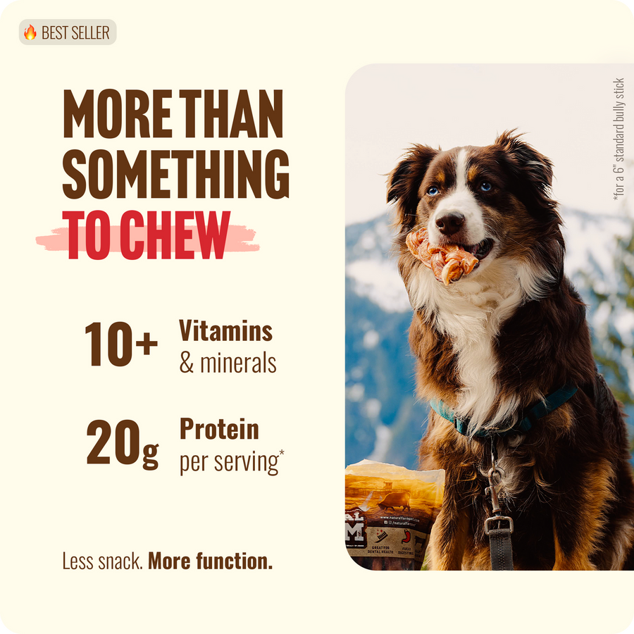 More than something to chew. 