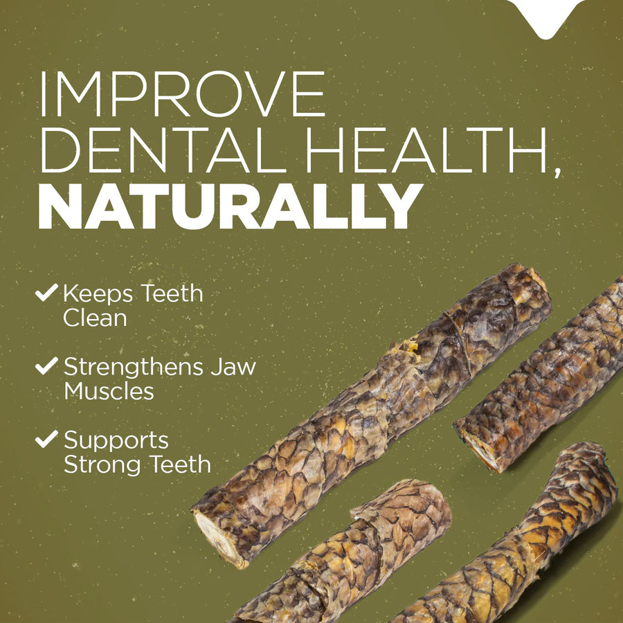 Natural Farm Power Fish Stick Dog Chew Incredible Pets