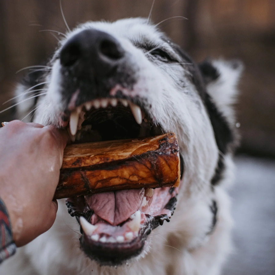 Natural Farm Smoked Beef Marrow Dog Bone