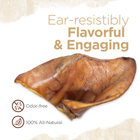 Flovorful & Engaging Natural Farms Pig Ear Dog Treat, odor-free and 100% All -natural
