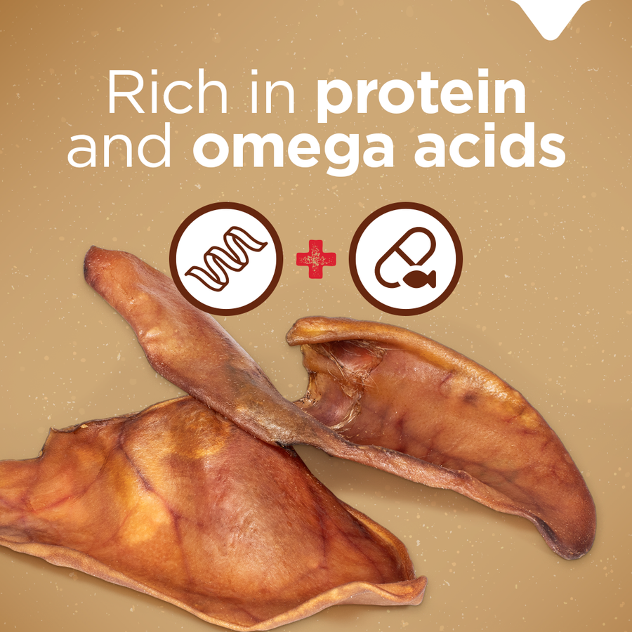 Natural Farms Pig Ear Dog Treat is rich in protein and omega acids