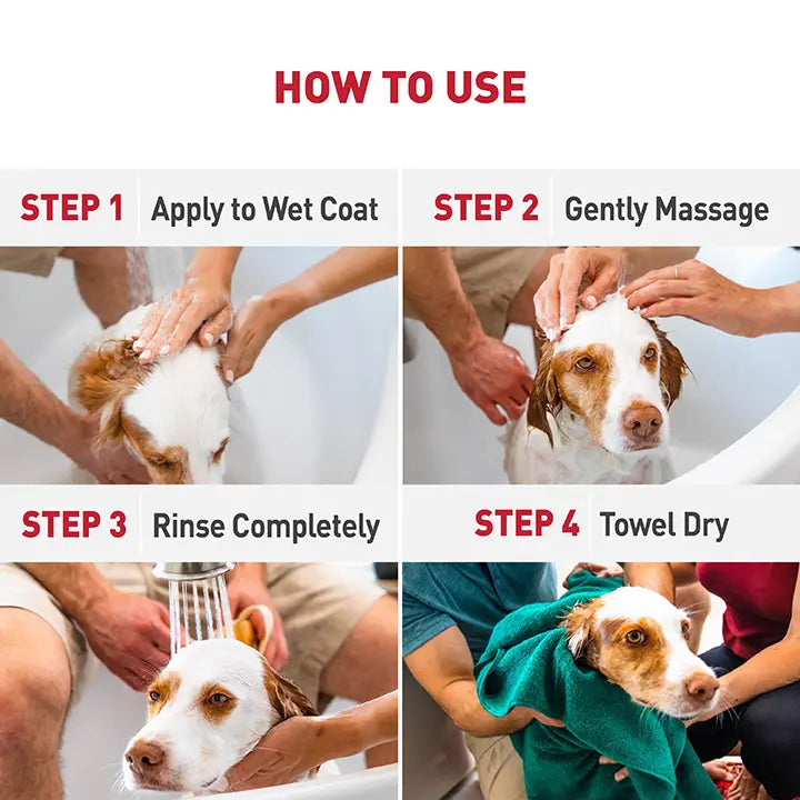 How to use: Step 1 - Apply to wet coat. Step 2 - Gently Massage. Step 3 - Rise Completely. Step 4 - Towel Dry.