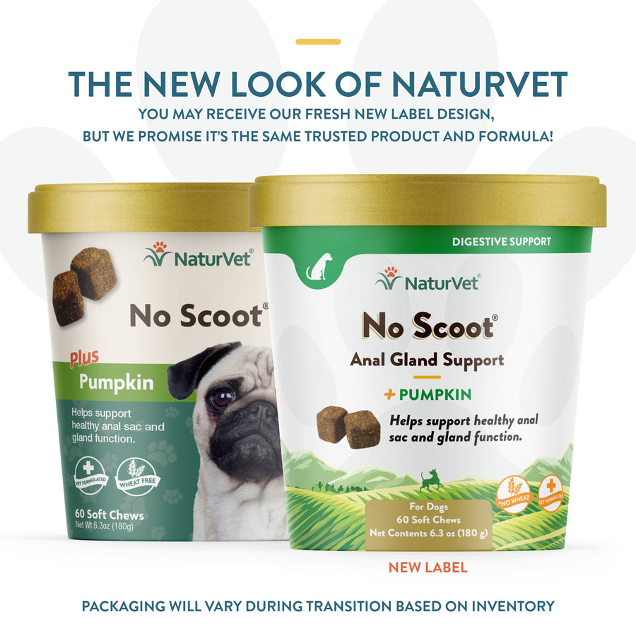 NaturVet No Scoot Plus Pumpkin for Dogs Soft Chews 60ct