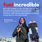 Nulo FreeStyle Perfect Purees Variety Pack