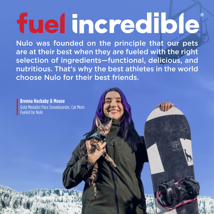 Nulo FreeStyle Perfect Purees Variety Pack