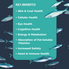 Nulo Omega 3-6-9 Oil Blend Supplement For Dogs Key Benefits 