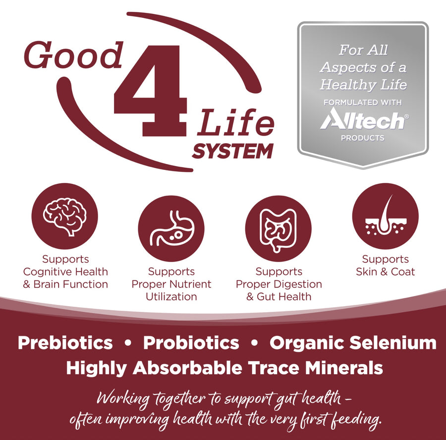 Working together to support gut health- often improving health with the very first feeding.