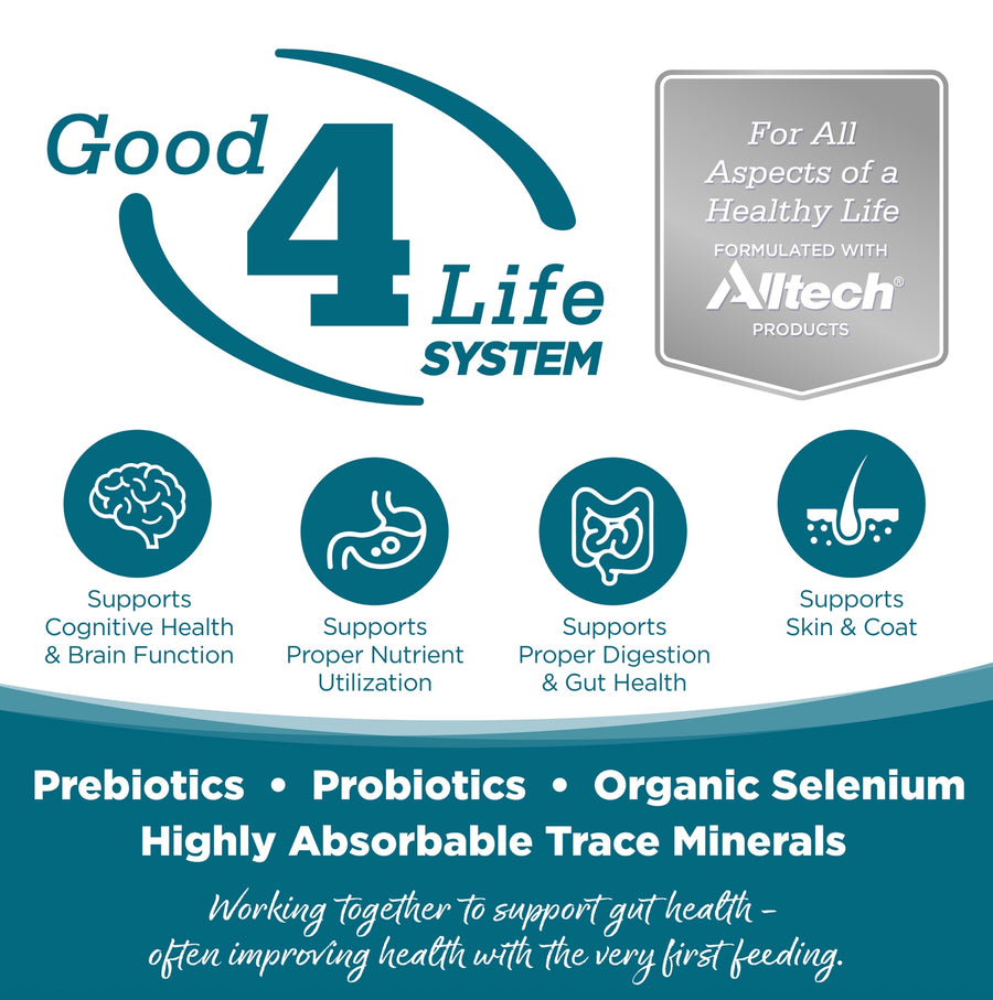 Working together to support gut health- often improving health with the very first feeding.