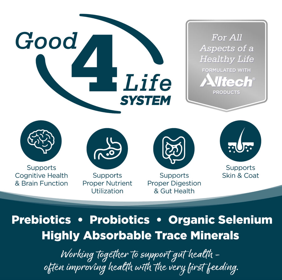 Working together to support gut health- often improving health with the very first feeding
