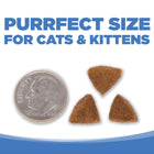 Kibble Size.