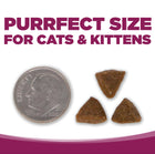 Kibble size.