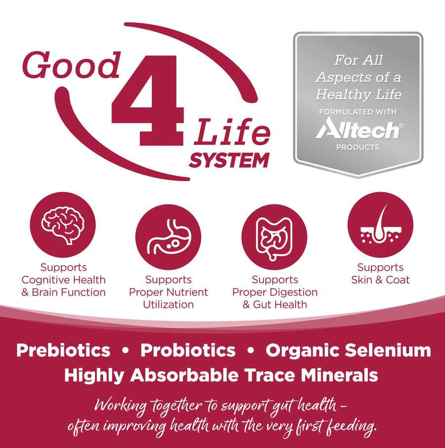 Working together to support gut health- often improving health with the very first feeding.