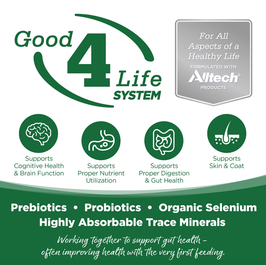 Working together to support gut health- often improving health with the very first feeding.