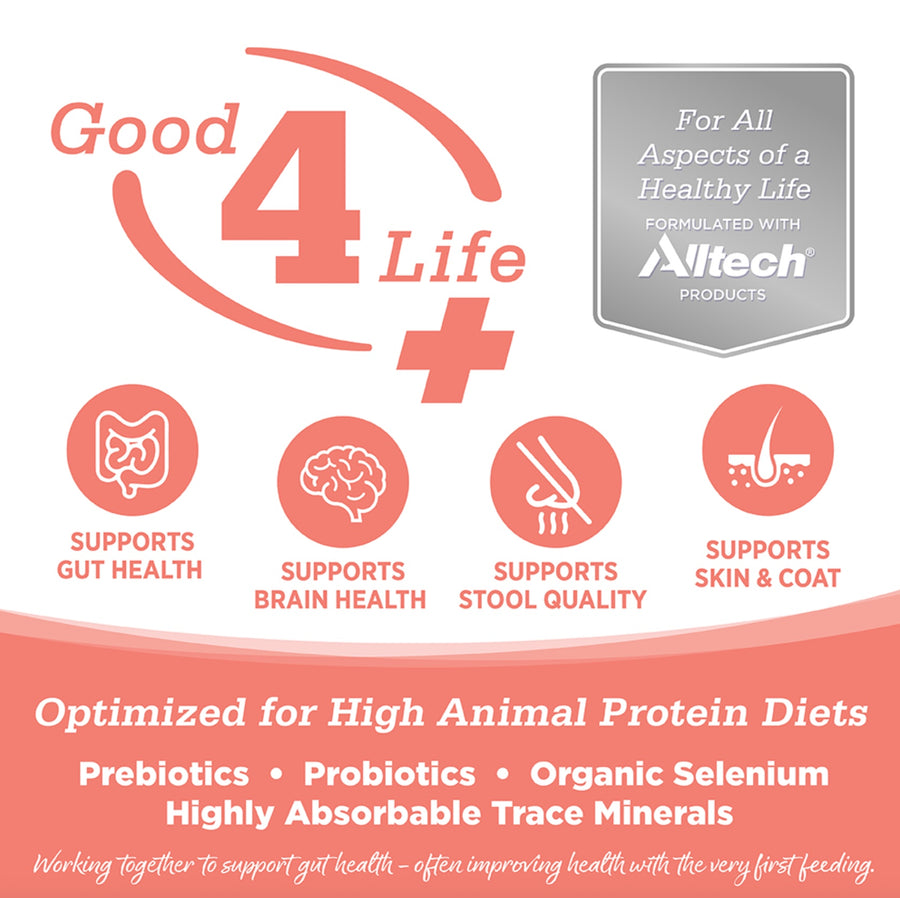 Working together to support gut health- often improving health with the very first feeding.