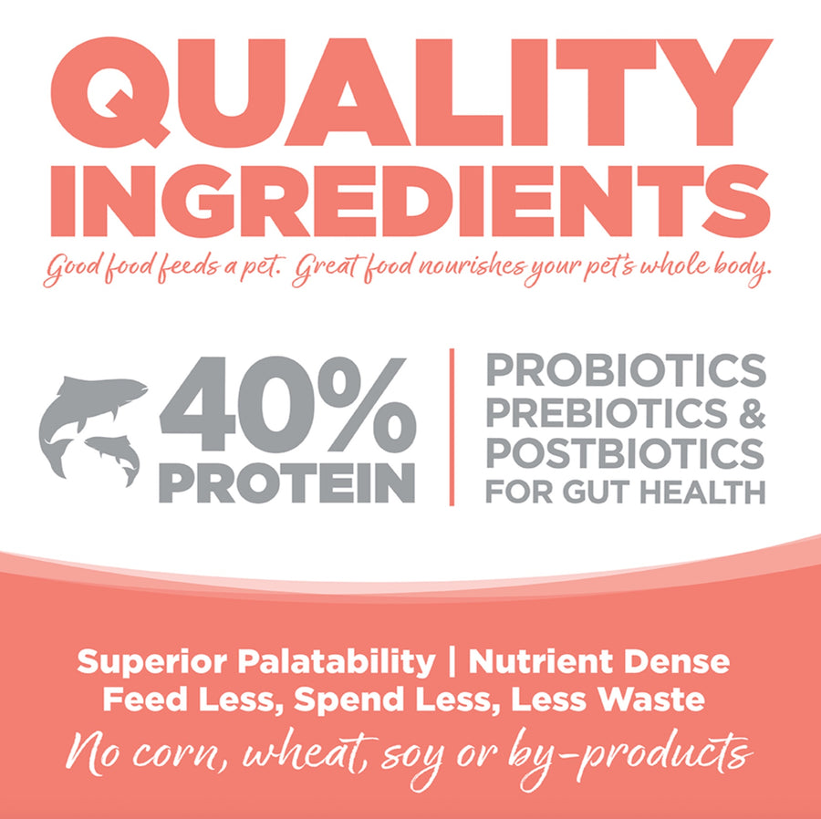 No corn, wheat, soy or by-products.