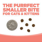 NutriSource Grain Free Ocean Select Entree Dry Cat Food kibble size.